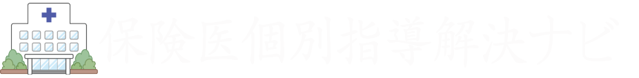 保険医個別指導解決ナビ